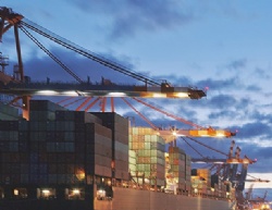 Import and export agent
